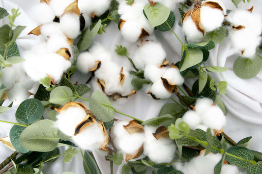 Les bienfaits du coton biologique sur la planète