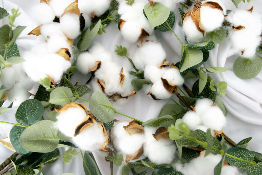 Les bienfaits du coton biologique sur la planète